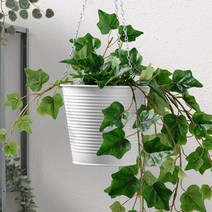 이케아 정품 CASHEWAPPLE 카스헤베플레 걸이 화분 실내외겸용, 15cm