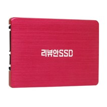 리뷰안 960X SATA DRAM캐시 SSD, 250GB