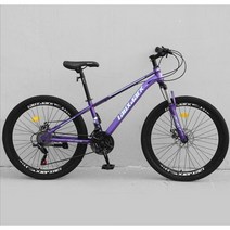 ( MTB 산악자전거 ) 입문용 27.5인치 크로스컨트리 자전거 21/24단, 21단, 스포크 휠 - 퍼플 (프론트샥)