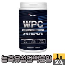 농축 유청 단백질 WPC 전용 스푼 whey protein concentrate 대두레시틴 운동전 운동후 단백질 쉐이크 세이크, 1개, 500g
