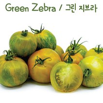 그린 지브라 Green Zebra 희귀토마토 가보 토마토 교육용 체험용세트