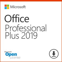 마이크로소프트 Office Professional Plus 2019 SNGL OLP NL (기업용 라이선스 5개이상 구매가능), 선택하세요