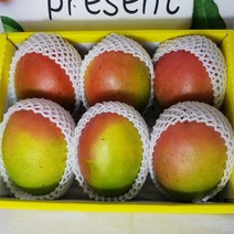 추석선물 애플망고2.5kg 명품 망고선물세트