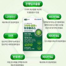 기억력 개선 영양제 징코 은행잎추출물 플라보노이드 아연 나이아신 판토텐산 건강식품, 4개월분