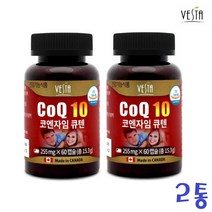 코큐텐 코엔자임Q10 임신준비 항산화 여성 영양제 대두래시틴 캐나다산 60캡슐 2박스