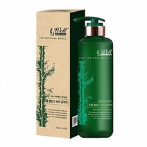 라샘 모웰 밸런스 녹차 샴푸액 중 건성 일반모 550ml