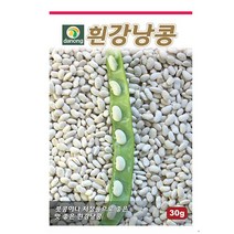 흰강낭콩(넝쿨성) 600g 흰강낭콩씨 흰강낭콩종자 흰강낭콩씨앗