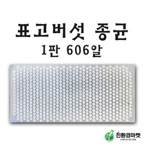 버섯종균 (1판619알) - 표고 종균 텃밭 주말농장 표고버섯종균 참나무 종균, 01. 표고버섯종균 1판 606알