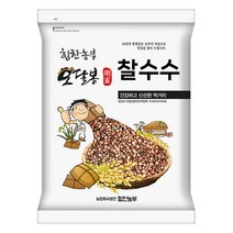 핫한 인제찰수수쌀 인기 순위 TOP100 제품을 확인해보세요