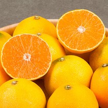 제주 황금향 1.5kg 대과(5-6과내), 1개