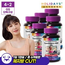 [4+2] 홀리데이즈 체지방다이어트 잔티젠600 30캡슐 x 6병, 단품, 단품