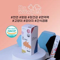 닥터와우펫츄 강아지 영양제 고양이 영양제 천연 영양제 간식 겸용 장건강 면역력 항산화 간식 영양제, 1EA