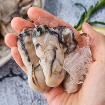 농가살리기 통영 특상품 대짜 급냉 굴 1kg, 1개
