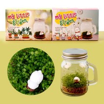 미니 테라리움 만들기 재료 DIY 키트, 1개