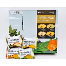 제주 종합타르트 12개입