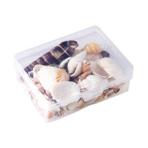 FCSHOP 1 상자 약 1-4cm 혼합 조개 비즈 공예 꽃병 필러 홈 웨딩 비치 파티 장식 diy 물고기 탱크 수족관 꽃병 필러, 조가비 껍질, 다색