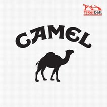 캠핑 카라반꾸미기 Camel 데칼스티커 차량용스티커 레이튜닝용품 차량스티커 차스티커, 1개, 오렌지 소형