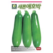 더존 복수박 씨앗 10립 - 수박씨 복수박씨 꿀수박 야채씨앗 채소씨앗 채소재배 종묘 종자 베란다 텃밭 씨 씨앗 오이 호박 방울토마토 참, 10_다농_새론 애호박(30립)