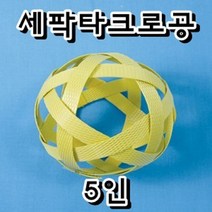 세팍타크로 공 (1) 5인