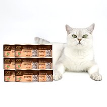 동동이네 고양이 간식 ANF 고양이캔 참치연어 젤리소스 95g 길냥이캔 통조림 주식사료캔, 24개