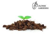 코코칩 허스크칩 화분 분갈이흙 멀칭재 배수층, 대립 (20~30mm), 10L