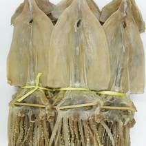 건어물천국 마른오징어 2.3kg(20미) 왕특대 건조오징어