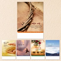 예닮 주보 절기주보 5종 A4 교회주보 칼라 팬시 기성주보 디자인주보 예배순서지 복사용지 감사노트 헌금봉투 예배용품 주보제작, 1세트