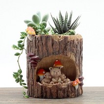 플랜트박스 플랜터 대형 다육이화분 꽃 꽃 흙손 식물 침대 상자 집 테이블 장식, s(10cm 이하), 2