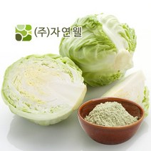 자연웰 48종류 천연 곡물가루 야채분말 천연조미료 율무가루 검은깨가루 팥가루 시금치분말 비트분말 카카오분말 석류분말 강황 도라지 히비스커스 새싹보리 ABC주스, 국산양배추가루100g