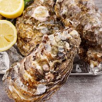 22년 산지 통영굴구이 바다장어멍게 당일작업, 1box, 삼배체굴1kg