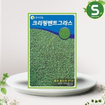크리핑벤트그라스 잔디씨앗 20g 골프장 그린 사철잔디, 단품