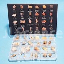 고생물학 화석 표본 종합세트(24종) (KSIC-15007)