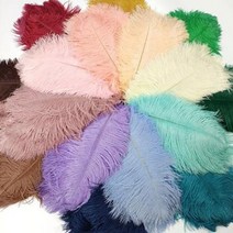 장스탠드 무드등 거실 플로어 Led 램프 북유럽 타조 깃털 모던한 장식용 독서 침실용 led 램프, 5 feathers_EU plug | H75cm-res