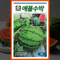 애플 수박씨 5립 미니 수박 씨앗 종자 파종 과일 키우기