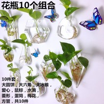 칼라테트라 꽃병수족관 네온테트라 개구리밥 프로그비트 인테리어 아보카도 풍선몰리 벽걸이 수족관 화분 자라풀 쿠바펄, 10피스 세트