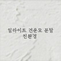 일라이트 견운모 가루 분말 친환경 건축재료 벽미장 일라이트 견운모 시공 시멘트대용 몰탈 친환경바인더, 1개