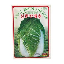 청방배추씨앗 2000립 23년생산 신청방배추 가을배추 김장배추, 1개