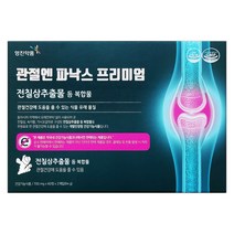 영진약품 관절엔 파낙스 프리미엄 120정