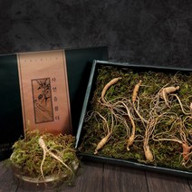 자연산 산양삼 산삼 산양산삼 6년근 정품 8뿌리 장뇌삼 강원도산양삼 아미노산 무기질 지방산 비타민 진세노사이드 사포닌 면역력증진 기력보충 100% 국내산 부모님선물, 2세트, 6년근 8뿌리