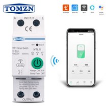 TOMZN 2P 63A WIFI 스마트 스위치 smartlife 에너지 미터 Kwh 계량 모니터링 회로 차단기 타이머 릴레이 MCB TUYA, No v a Protection