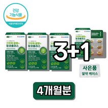 찡코 은행엽 징코 은행잎추출물 징코플러스 플라보놀 프라보놀 플라보노 프라보노 배당체 60대 50대 노인 어르신 할아버지 할머니 영양제, 30정 x4박스, 30정