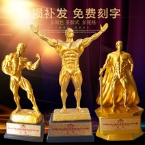 헬스 바디 복싱 트로피 기념 대회 우승 미니 체육, 밀키 화이트 라지 복서 골드