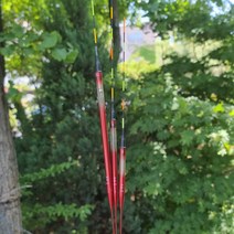 익투스 민물 내림전자찌 초절EF3 양어장 내림찌, 7