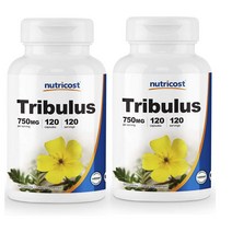 뉴트리코스트 Nutricost Tribulus Terrestris Extract 트리뷸러스 테레스트리스 남가새 750mg 120캡슐 2개, 1개, 1