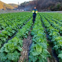 강원도서핑픽업 추천 순위 TOP 20