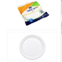 GVP 친환경 접시 250 일회용파티접시 캠핑용품 피크닉용품