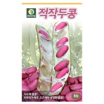 다-적작두콩 5립 콩씨 콩종자 콩씨앗, 1개