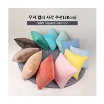 토이웍스 무지컬러 사각쿠션 쇼파쿠션 30cmx30cm 11종, 민트(Mint)