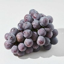 경산 고당도 맛있는 거봉 포도 650g 1kg 2kg 가정용 제철 캠벨 머루 포도, 500g내외 / 특 / 1수