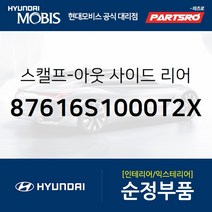 올뉴 싼타페TM 순정 사이드미러 커버(백미러 스캘프) 좌측(타이푼 실버) (87616S1000T2X) 올뉴 싼타페 현대모비스